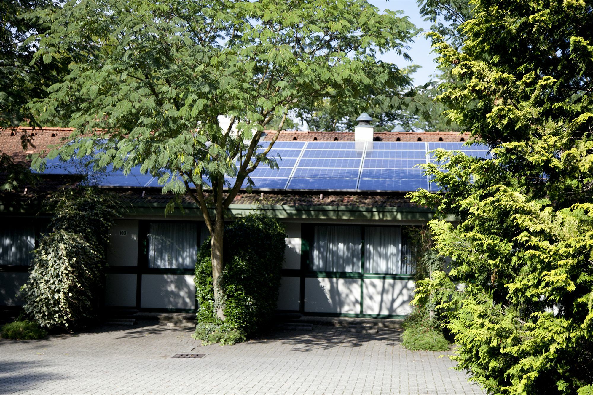 Green Hotel Motel Верджате Экстерьер фото